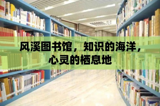 風溪圖書館，知識的海洋，心靈的棲息地