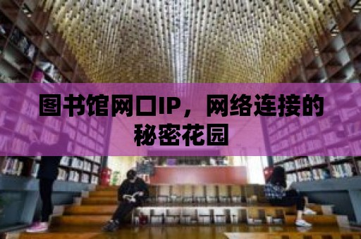 圖書館網口IP，網絡連接的秘密花園