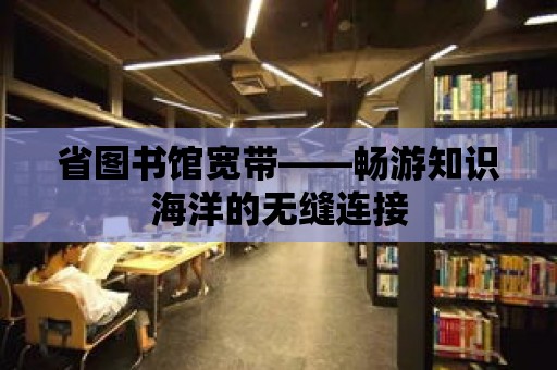 省圖書館寬帶——暢游知識海洋的無縫連接