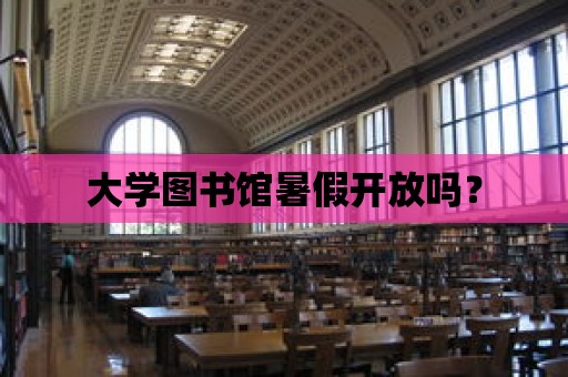 大學(xué)圖書館暑假開放嗎？