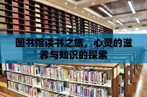 圖書館讀書之旅，心靈的滋養與知識的探索