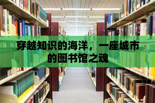 穿越知識的海洋，一座城市的圖書館之魂