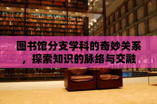 圖書館分支學科的奇妙關系，探索知識的脈絡與交融