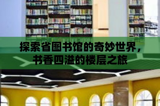 探索省圖書館的奇妙世界，書香四溢的樓層之旅