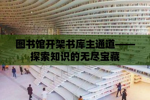 圖書館開架書庫主通道——探索知識的無盡寶藏