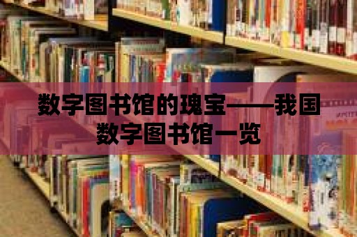 數(shù)字圖書館的瑰寶——我國數(shù)字圖書館一覽