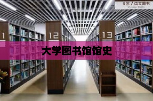 大學圖書館館史