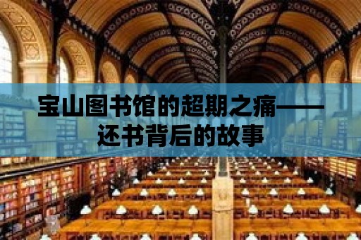 寶山圖書館的超期之痛——還書背后的故事