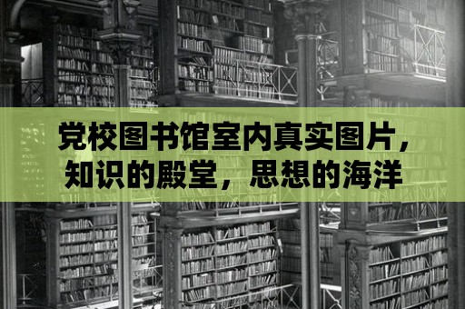 黨校圖書館室內(nèi)真實(shí)圖片，知識(shí)的殿堂，思想的海洋