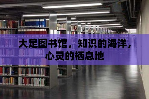 大足圖書館，知識的海洋，心靈的棲息地