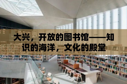 大興，開放的圖書館——知識的海洋，文化的殿堂