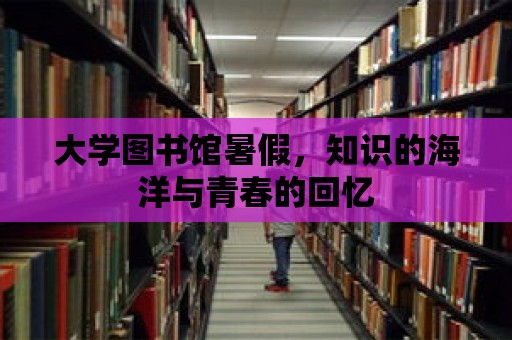 大學(xué)圖書(shū)館暑假，知識(shí)的海洋與青春的回憶