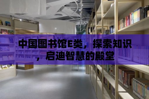 中國圖書館E類，探索知識，啟迪智慧的殿堂