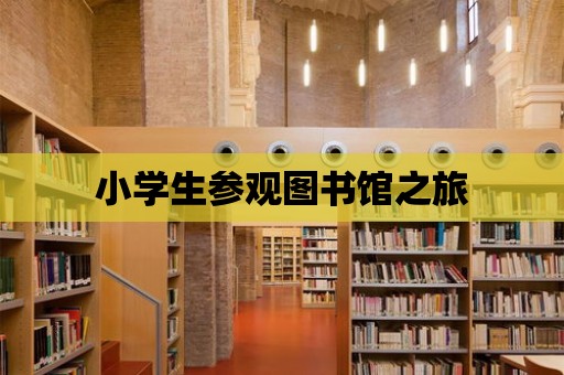 小學(xué)生參觀圖書館之旅