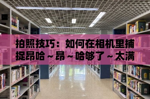 拍照技巧：如何在相機里捕捉昂哈～昂～哈夠了～太滿了的美好瞬間