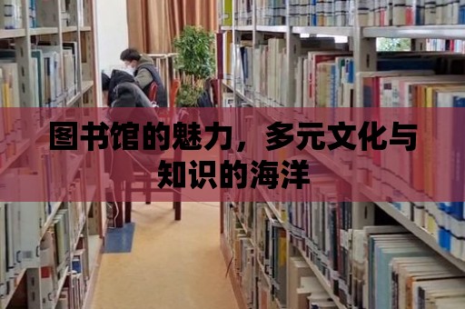 圖書館的魅力，多元文化與知識的海洋