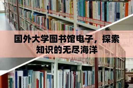 國外大學圖書館電子，探索知識的無盡海洋