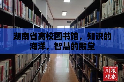 湖南省高校圖書館，知識(shí)的海洋，智慧的殿堂