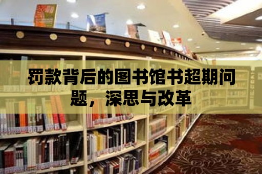 罰款背后的圖書館書超期問題，深思與改革