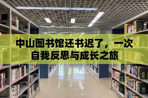 中山圖書館還書遲了，一次自我反思與成長之旅