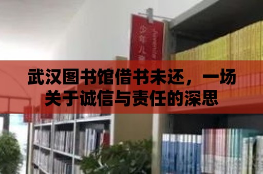 武漢圖書館借書未還，一場關于誠信與責任的深思