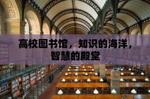 高校圖書館，知識(shí)的海洋，智慧的殿堂