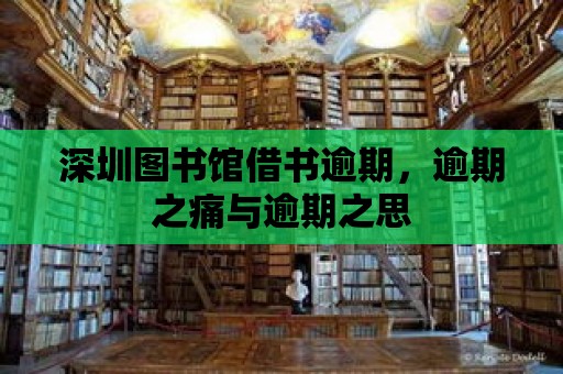 深圳圖書館借書逾期，逾期之痛與逾期之思