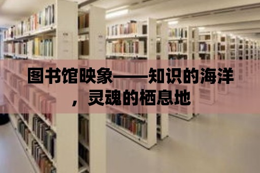 圖書館映象——知識的海洋，靈魂的棲息地