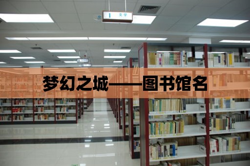 夢幻之城——圖書館名