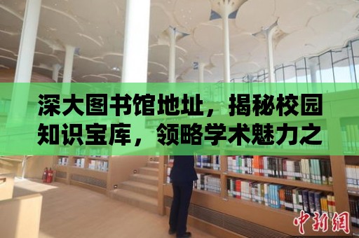 深大圖書館地址，揭秘校園知識寶庫，領略學術魅力之旅