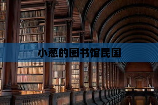 小蔥的圖書館民國(guó)