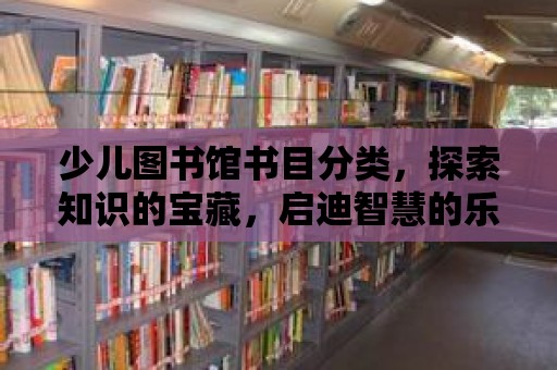 少兒圖書館書目分類，探索知識的寶藏，啟迪智慧的樂園