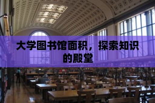 大學圖書館面積，探索知識的殿堂