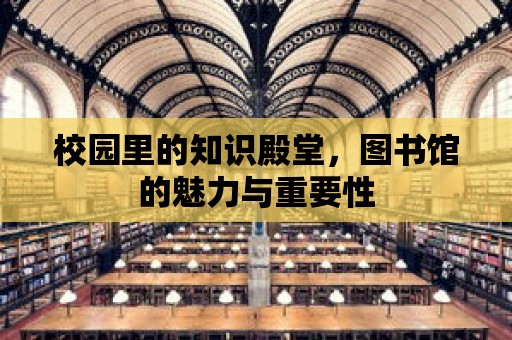 校園里的知識殿堂，圖書館的魅力與重要性