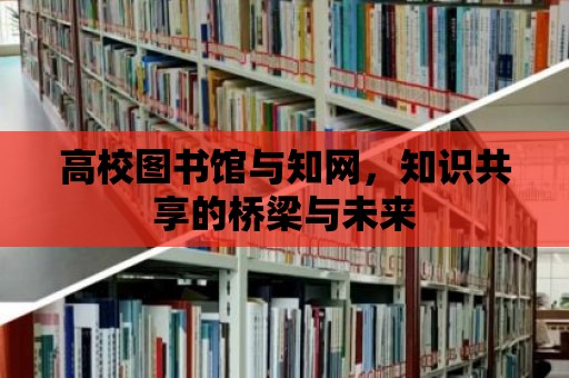 高校圖書館與知網，知識共享的橋梁與未來