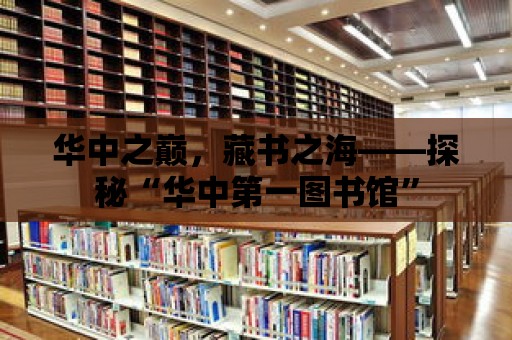 華中之巔，藏書之海——探秘“華中第一圖書館”