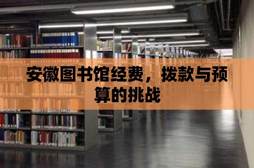 安徽圖書館經(jīng)費，撥款與預算的挑戰(zhàn)