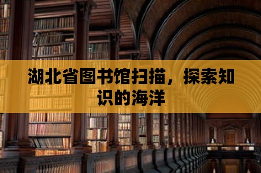 湖北省圖書館掃描，探索知識的海洋