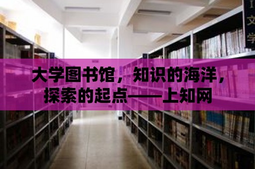 大學圖書館，知識的海洋，探索的起點——上知網