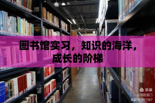 圖書館實習，知識的海洋，成長的階梯