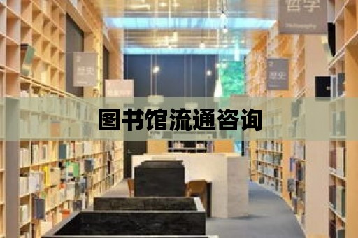 圖書館流通咨詢