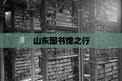 山東圖書館之行