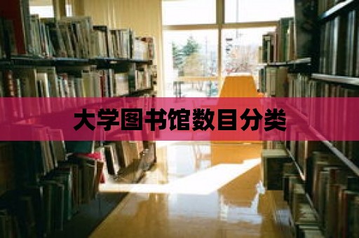 大學圖書館數目分類