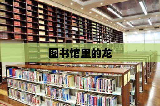 圖書館里的龍