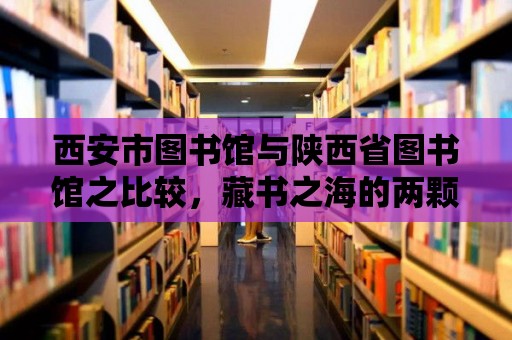 西安市圖書館與陜西省圖書館之比較，藏書之海的兩顆明珠