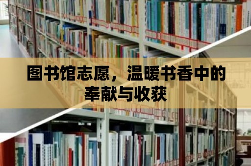 圖書館志愿，溫暖書香中的奉獻與收獲