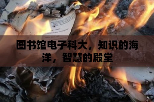 圖書館電子科大，知識的海洋，智慧的殿堂