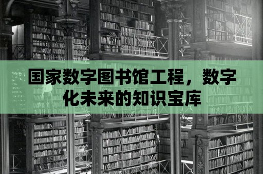 國家數(shù)字圖書館工程，數(shù)字化未來的知識寶庫