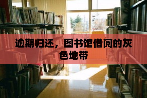 逾期歸還，圖書館借閱的灰色地帶