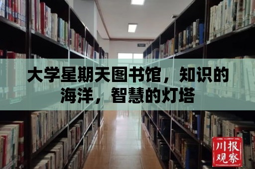 大學(xué)星期天圖書館，知識的海洋，智慧的燈塔